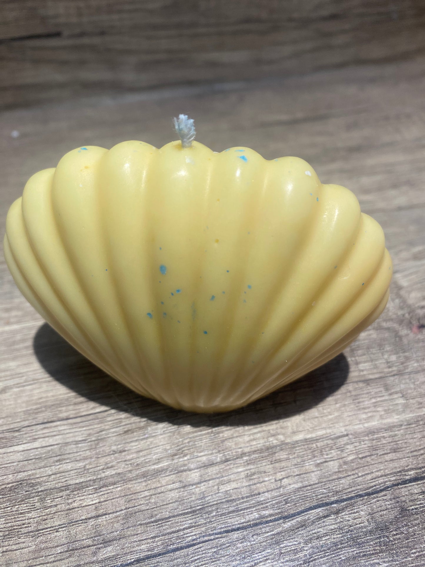 Bougie coquillage