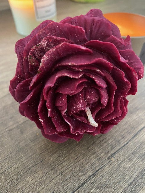 Pivoine