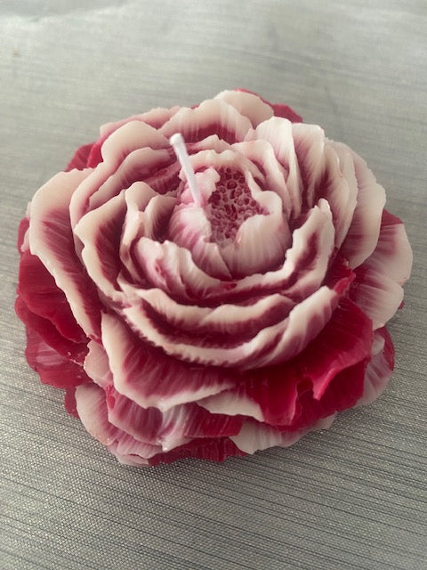 Pivoine