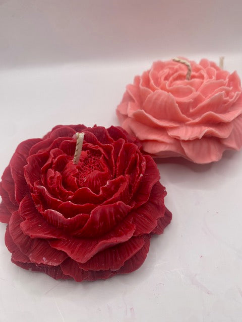 Pivoine